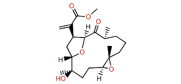 Pintoxolane C